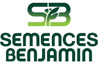 Un nouveau mandat stratégique pour Meunerie Benjamin